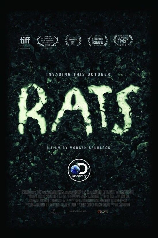 Rats.Discovery.Channel.Documentary.2016.1080p.WEBRip.DD5.1.x264-TrollHD
