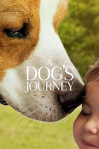 A.Dogs.Journey.2019.1080p.WEB-DL.DD5.1.H264-FGT